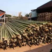 Vietnam Bamboo Pole by 99 Gold Data Processing Trading Company Limited