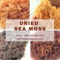 Sea Moss / Seaweed by 99 Gold Data Processing Trading Company Limited