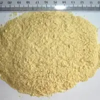 Garlic Powder Spices Powder by 99 Gold Data Processing Trading Company Limited