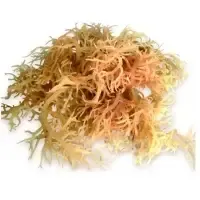The Best Natural Dried Seaweed by 99 Gold Data Processing Trading Company Limited