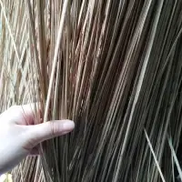 Coconut Broom Stick -selling Coconut Leaf Stick by 99 Gold Data Processing Trading Company Limited