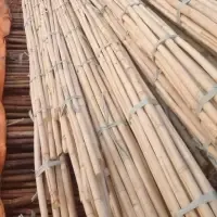 Vietnam Manau Rattan Pole (verda)