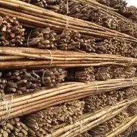 Rattan Cane Pole (pita) by 99 Gold Data Processing Trading Company Limited