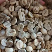 Arabica Green Coffee Beans