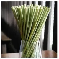 Natural Grass Drinking Straw by 99 Gold Data Processing Trading Company Limited