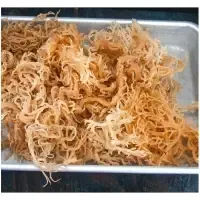 Dried Irish Seaweed (hery lee) by 99 Gold Data Processing Trading Company Limited