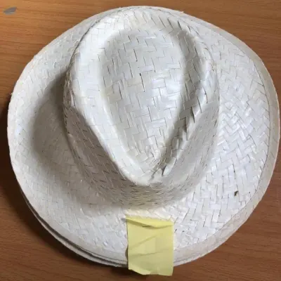 White Leaf Hats Handicraft Cheap Price by 99 Gold Data Processing Trading Company Limited