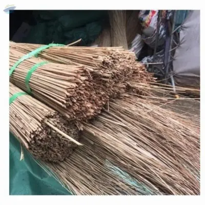 Coconut Broom Stick Nipah Broom Stick by 99 Gold Data Processing Trading Company Limited