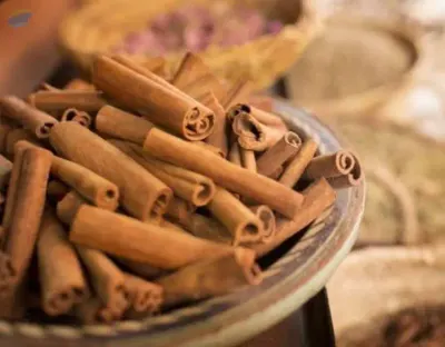Cinnamon Stick by 99 Gold Data Processing Trading Company Limited