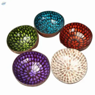 Round Coconut Lacquer Shell Bowl by 99 Gold Data Processing Trading Company Limited