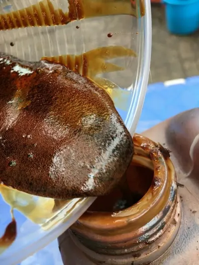 Sugarcane Molasses by 99 Gold Data Processing Trading Company Limited
