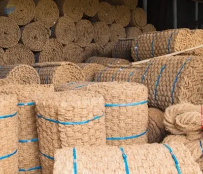 Coir Net by 99 Gold Data Processing Trading Company Limited