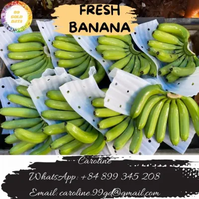 Fresh Banana by 99 Gold Data Processing Trading Company Limited