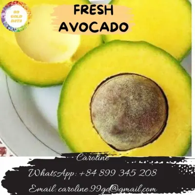 Fresh Avocado by 99 Gold Data Processing Trading Company Limited