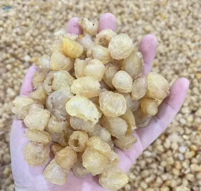 High-Quality Natural Vietnamese Dried Longan by 99 Gold Data Processing Trading Company Limited