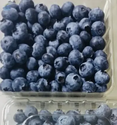 Blueberries