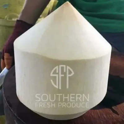 coconut by Southern Fresh Produce LLC