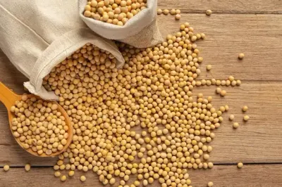 Soybean by Lukonge International Group
