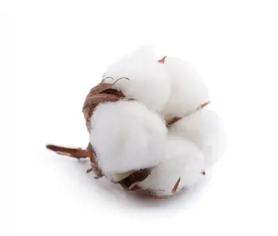 Cotton by Lukonge International Group