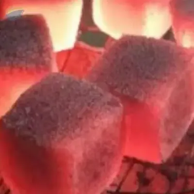 Coconut Shell Premium Shisha Briquette