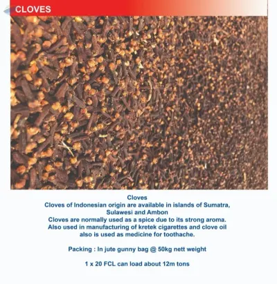 Cloves by PT. Dami Jaya Exim