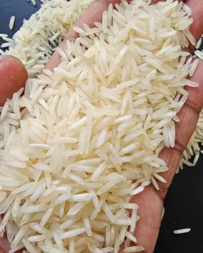 1121 Steam Rice by Singla Rice And General Mills