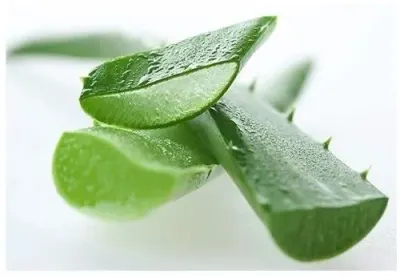 Moisturizing fullerene toner with hyaluronic acid, MeNoAge by Prostranstvo Biznesa, LLC