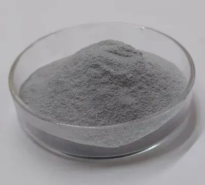 RMY Soapnuts Seeds Powder by RMY INTERNATIONAL