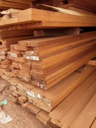 Beech Wood by SC H.G.H. Import Export SRL