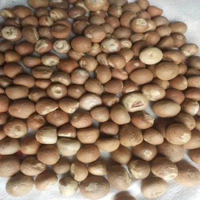 Bambara beans by Ozioma Global solutions limited