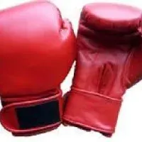 RMY Boxing Gloves,Boxing Equipments,Boxing Gear by RMY INTERNATIONAL