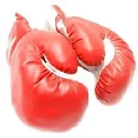 Boxing Glove,Buy Proffessional Boxing Gloves,Boxing,Boxing Gear,Boxing Bag,Boxing Shorts by RMY INTERNATIONAL