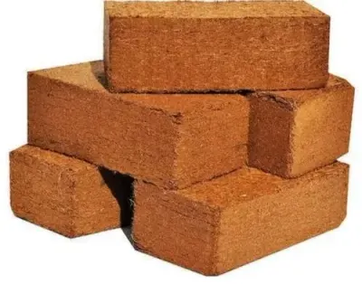 Powder & Bricks by Patil Exim House