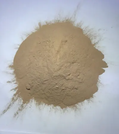 Onion Powder by Qualitex Co., Ltd