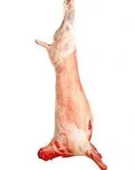 Raw Lamb Shirdan by Reis 35 BVBA
