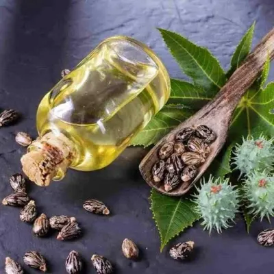 Castor oil by Dolpnin International Limited
