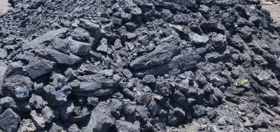Coal by Royal Mineral