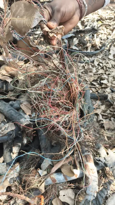 Copper Wire Scrap 99.99% Pure by CPSR RECYCLING PARTNERS LLC.