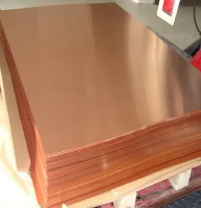 Square Plate by Parrot Green Llp
