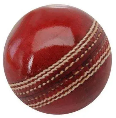 Cricket Ball Swing Practice by Crimson International