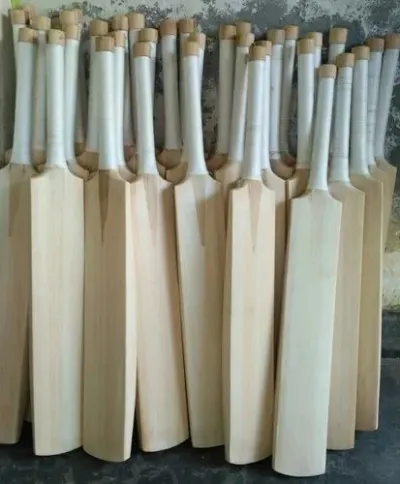 Kahmiri willow bat by La Sports
