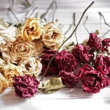 Dried Hibiscus Flower by PAFALFAL COMPANY LIMITED