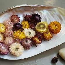 Hibiscus Flowers by Future Herbs Company