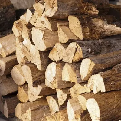 Dried cuttle by Huvy Export Import Co., Ltd.