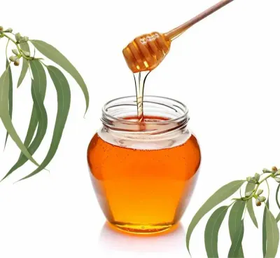 Eucalypus And Mustard Honey by MSJ Sales Corporation