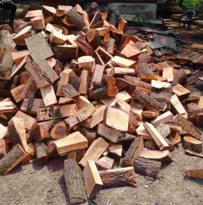 Firewood Beech by Emirates Trading Enterprises LLC