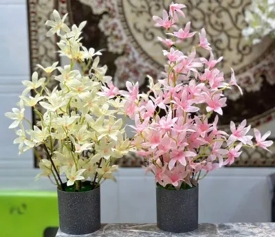 Jasmine String by Get Flowers Daily