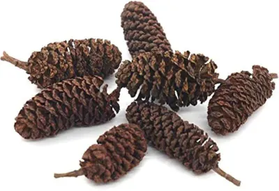 Betel Nuts by Huvy Export Import Co., Ltd.