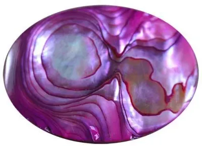 Chilean abalone by Soprocomin
