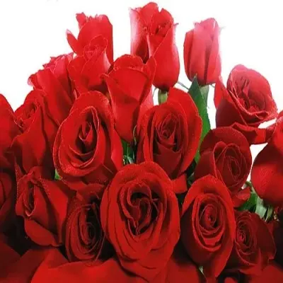 Woolen Flowers by Ozikol Limited Liability Company